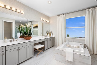 Monterey Master Bathroom 