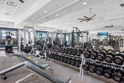 Lotus Palm Boca Raton Fitness Center