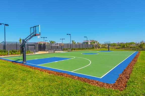 RWG LS 3 2 basketball