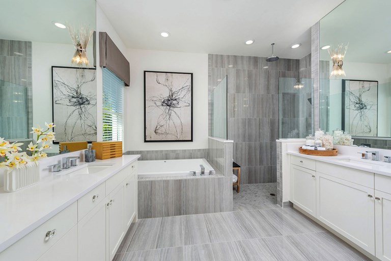 Carlyle Master Bath
