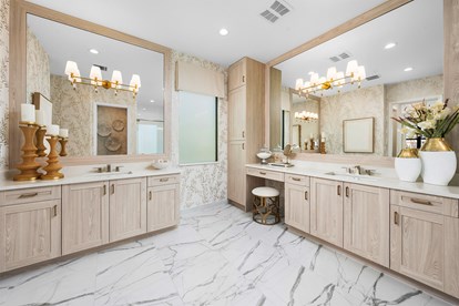 Barbados Primary  Bathroom