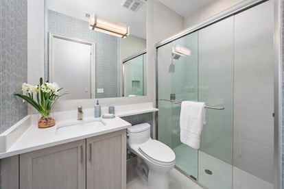 Addison Secondary Bathroom