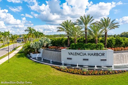 Multimillion-Dollar Entry