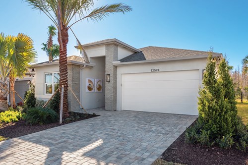 Camelia Front Elevation