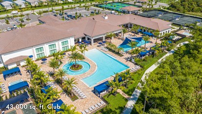 vt new club