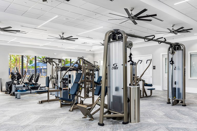 PT gym mid