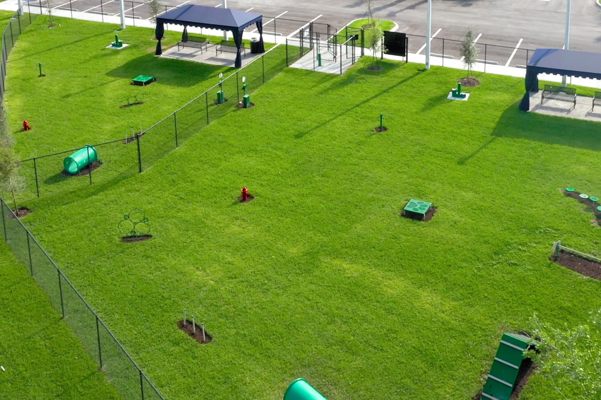 DOG PARK
